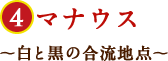 マナウス～白と黒の合流地点～