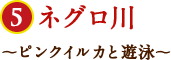 ネグロ川〜ピンクイルカと遊泳〜