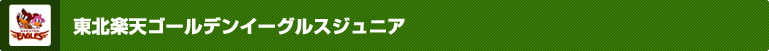 kyVS[fC[OX