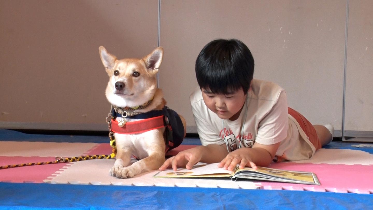 写真