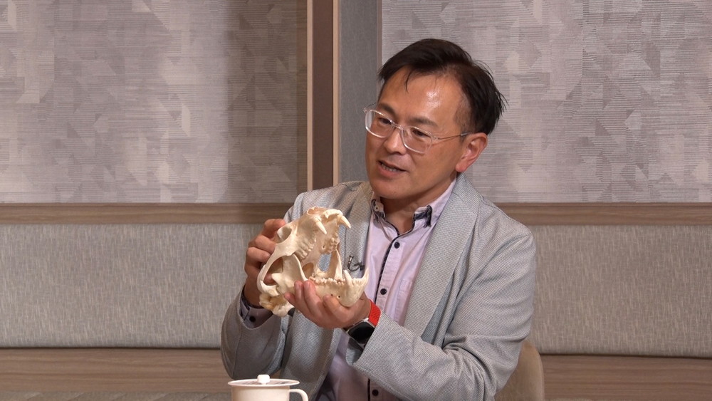 #77 「都市型クマ被害」