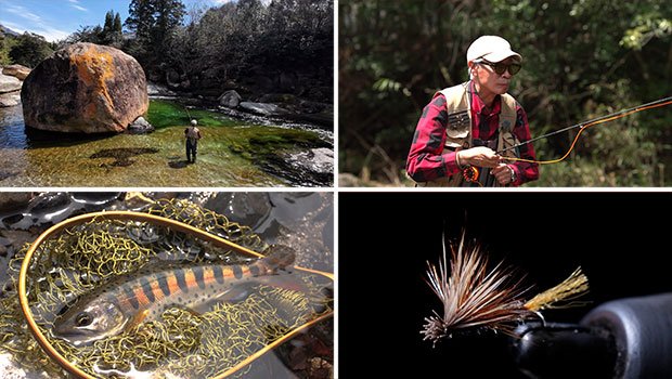 #634 宮崎県五ヶ瀬川水系でフライフィッシング 水面を割る宝石・ヤマメと戯れる
