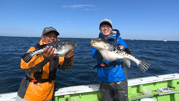 #637 東京湾で近年最も熱い釣り 高級魚トラフグを名手が攻略
