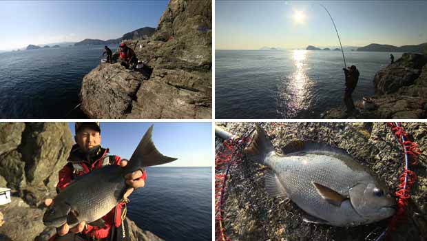 #117 潮を読みグレを呼び込め!大分県南フィールドの磯釣り
