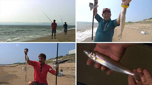 #144 スポーティにキャスティング！秋田県のサーフで投げ釣り・良型キスを求めて