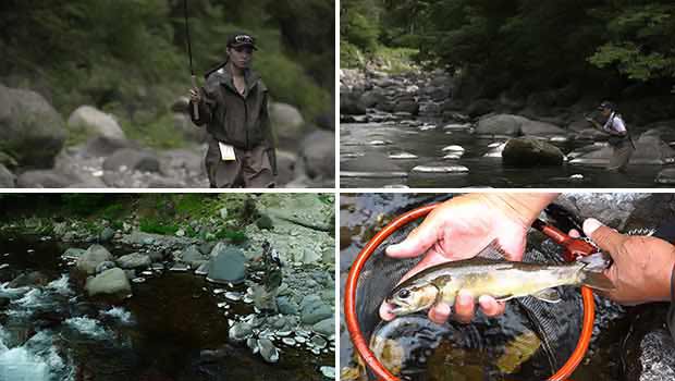 #246 日本古来からの釣り「テンカラ」 美しき魚を求め岐阜の渓を歩く