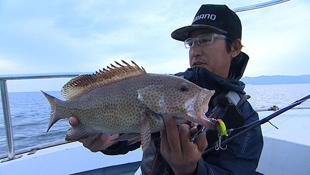 #264 人気のロックフィッシュゲーム 黒潮あたる高知県の磯を攻める!