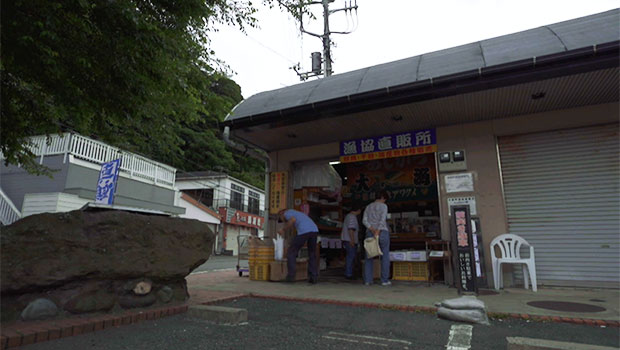 真鶴町漁協直販所