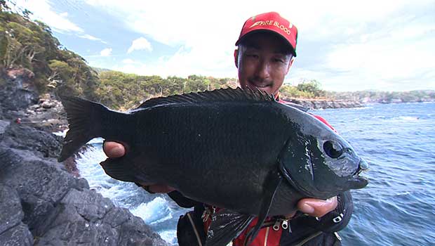 #328 伊豆半島釣行に密着 グレ釣り王者の神髄に迫る！