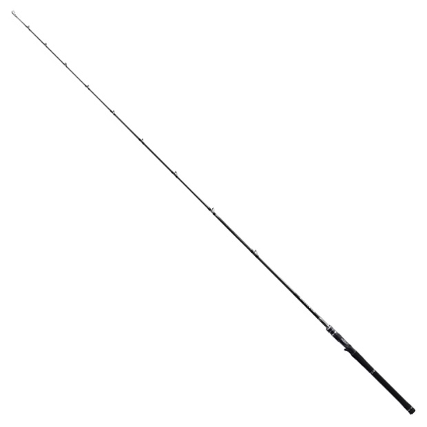 ロッド②：ディスラプション BIG BAIT C610-XX