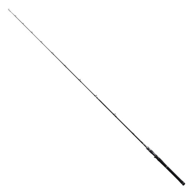 ロッド③：ディスラプション BIG BAIT C610-XX