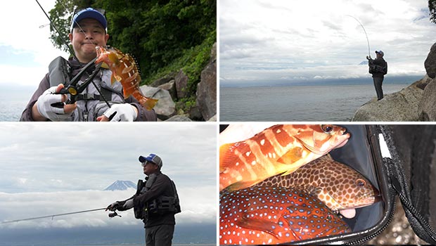 #593 ライトソルトゲームで根魚連発!エキスパートが地元伊豆半島を満喫