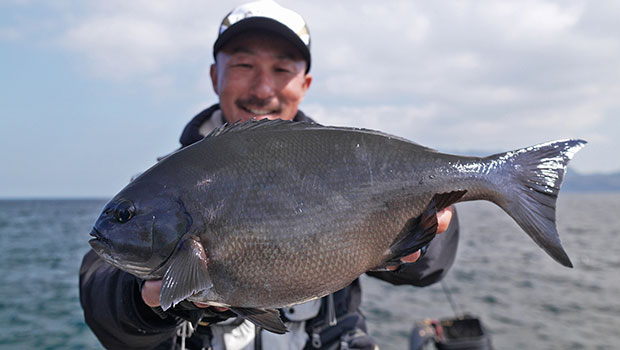 #627 伊豆諸島・神津島周辺海域　グレ釣り王者と大型グレの緻密な攻防