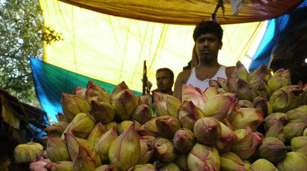コルカタのフラワーマーケット