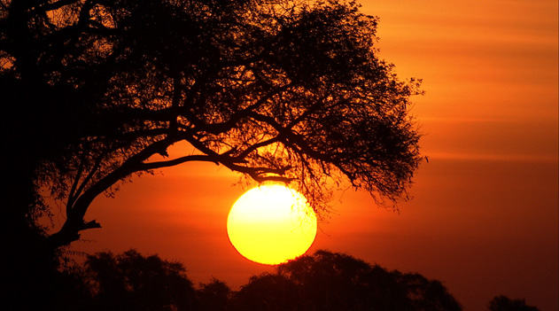 夕景