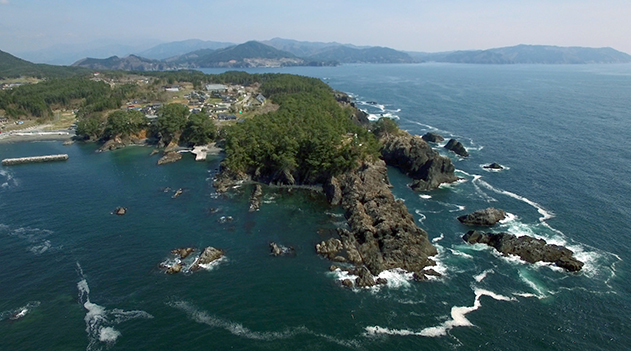 三陸ジオパークに指定される碁石海岸