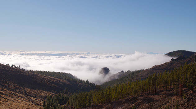 テイデ山から見る雲海
