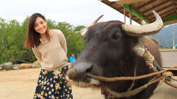 ★ 国仲涼子 ちゅらさん運動 ポスター ★非売品★沖縄県教育委員会沖縄県警察 ☆ 国仲涼子 ちゅらさん運動 ポスター ☆非売品☆沖縄県教育委員