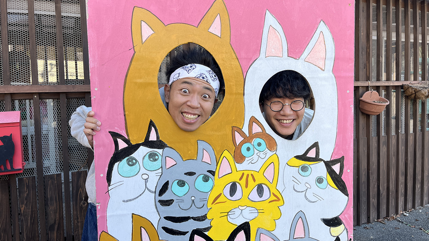 BS-TBS｜ねこ自慢