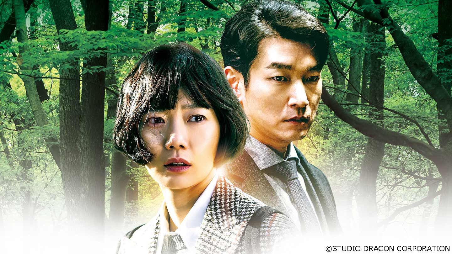 ☆韓国ドラマ『秘密の森～深い闇の向こうに～』韓国盤OST チョスンウ ペドゥナ☆ - CD