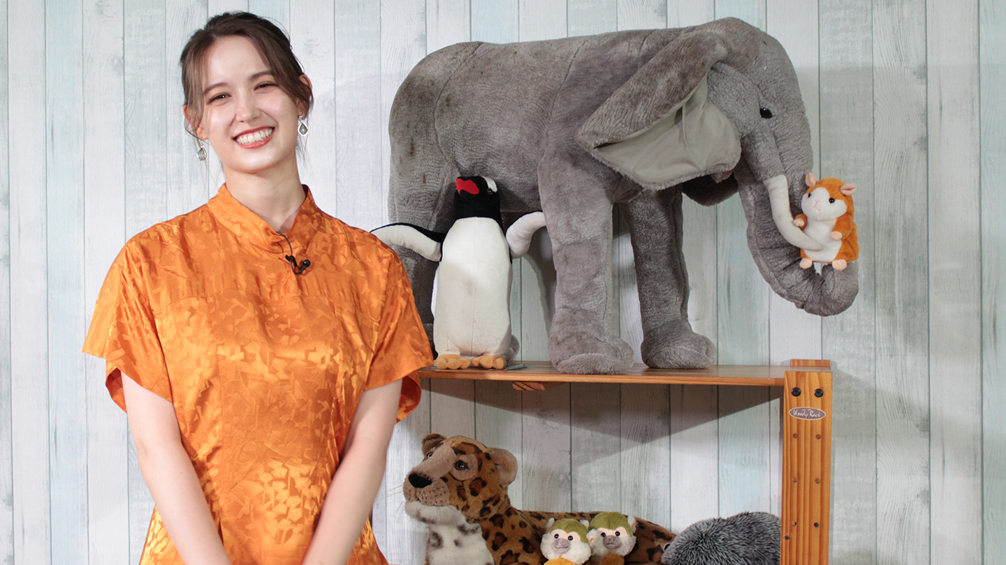 Bs Tbs かわいいアニマルがいっぱい しあわせ どうぶつベイビー