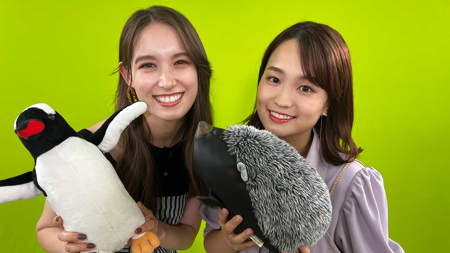 BS-TBS|~かわいいアニマルがいっぱい~しあわせ!どうぶつベイビー パート2 かわいいどうぶつがいっぱい!