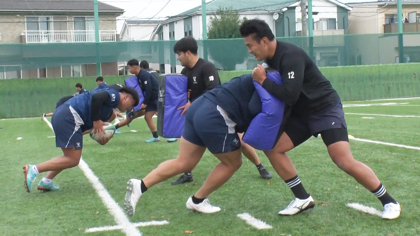 新品未開封DVD 大学ラグビー激闘史1991年明大時代到来！送料無料