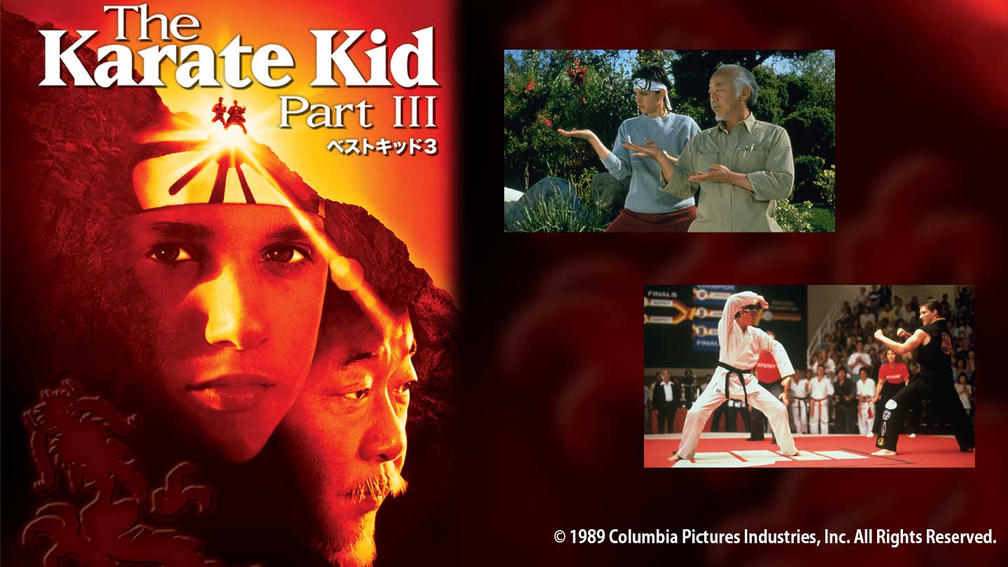 当時物 ベストキッド フィギュア レムコ ダニエル ミヤギ サトー 3体