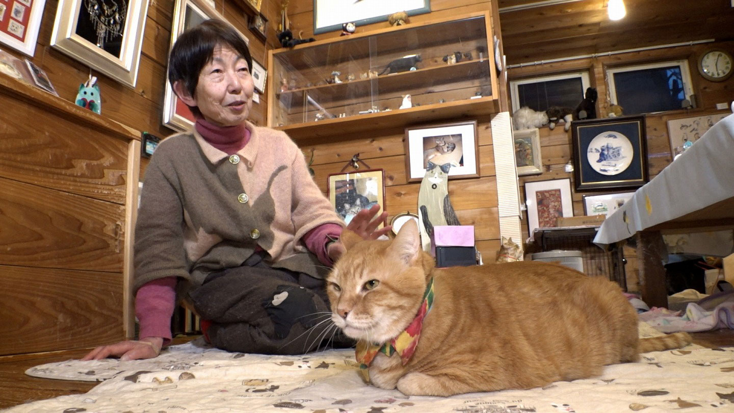 ねこ自慢」2024年1月17日（水）の放送内容：いぬじかん ねこ自慢｜BS-TBS