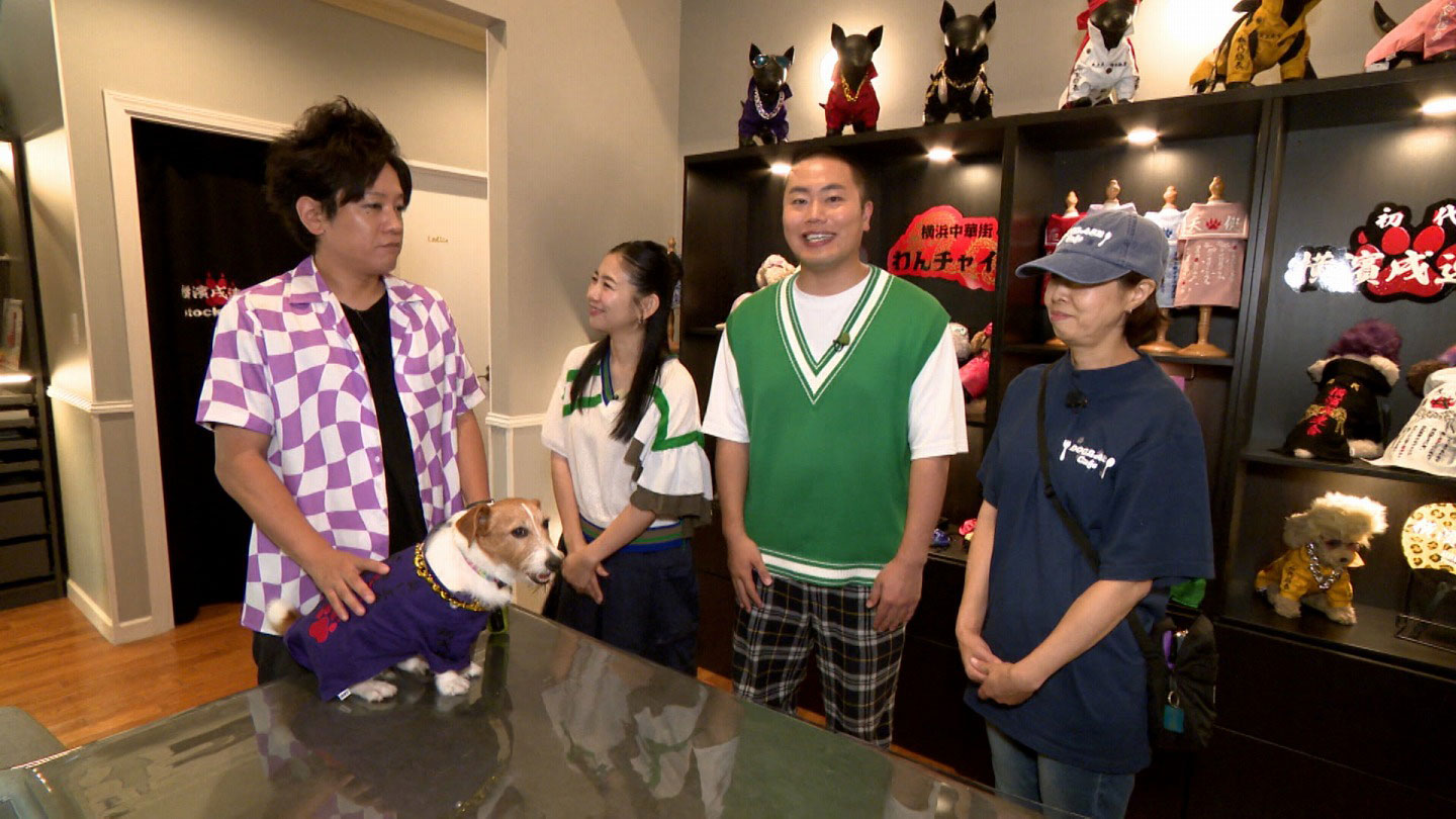 いぬじかん」放送予定：いぬじかん ねこ自慢｜BS-TBS