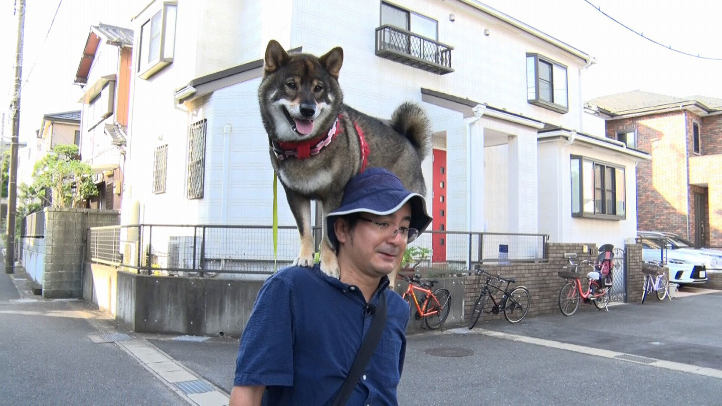 写真