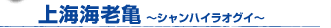 CCVT