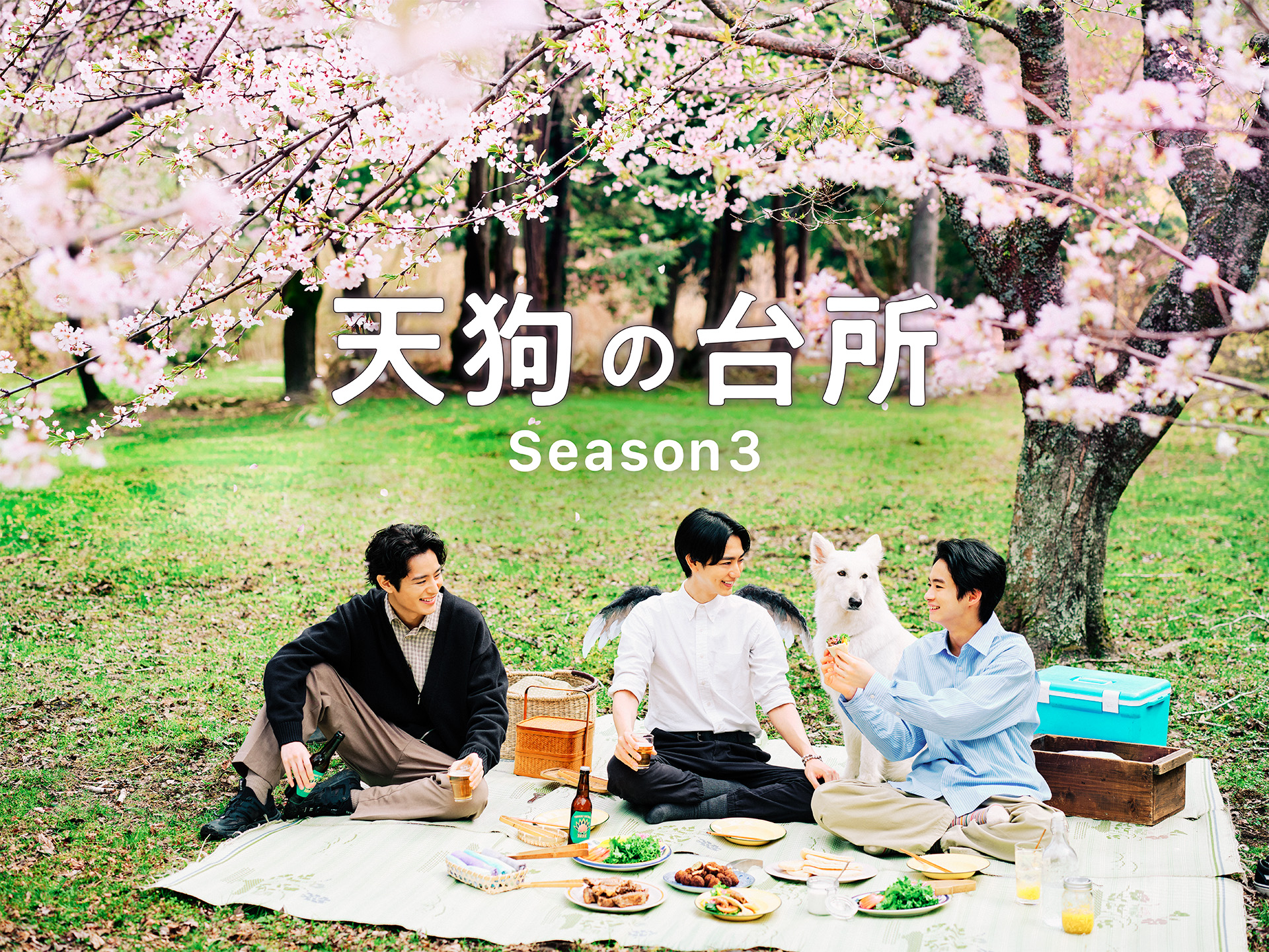 天狗の台所season1&season2 特典付き　最終値下げ 天狗の台所season1&season2 特典付き 最終値下げ 天狗の台所