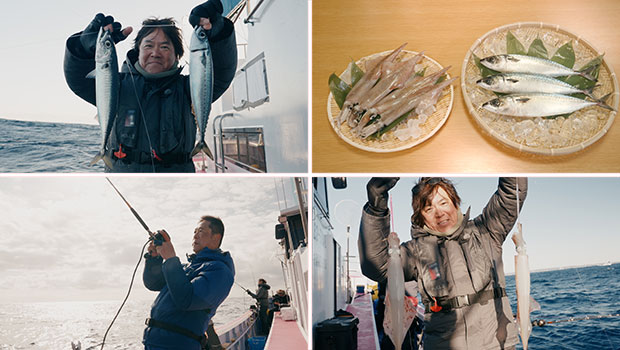#628 千葉県 外房エリア 冬のリレー船釣行 釣って食べて 寒サバ&ヤリイカを堪能！