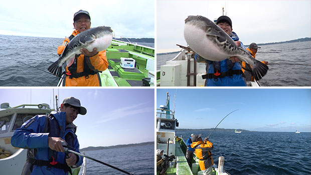 #637 東京湾で近年最も熱い釣り 高級魚トラフグを名手が攻略