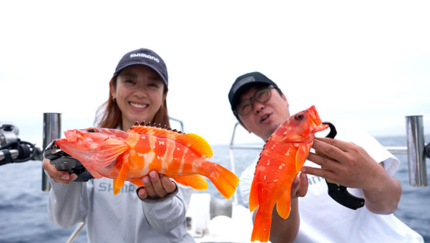 #642 名手の心を魅了する豊かなフィールド 愛媛県愛南町のライトソルトゲーム