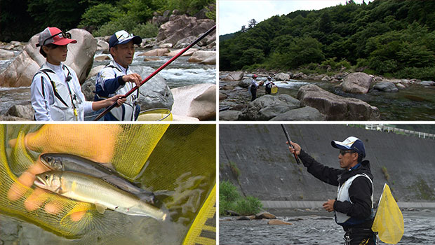 #649 伝統ある鮎釣りを学ぶ 岐阜県板取川の友釣り