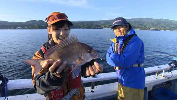 #87 百魚の王を身近にしたコマセマダイの魅力
