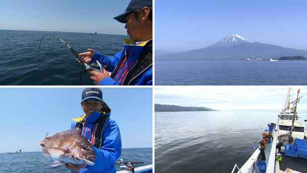 #87 百魚の王を身近にしたコマセマダイの魅力