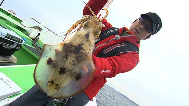 #162 アオリイカシーズン到来!好ポイント満載の相模湾をティップエギングで攻略!