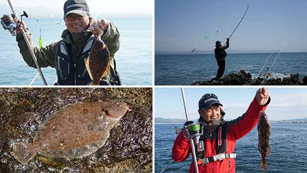 #241 狙え!夢の座布団カレイ 北海道・函館
