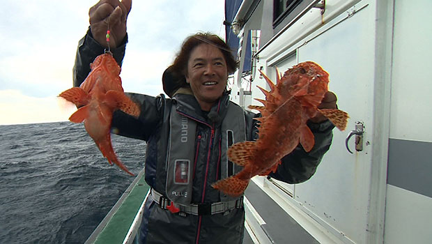 #282 ヤリイカ・寒サバ・オニカサゴ 千葉県外房の高級魚を釣る