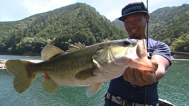 #354 真夏のバスフィッシング 紀伊半島のダム湖に挑む!