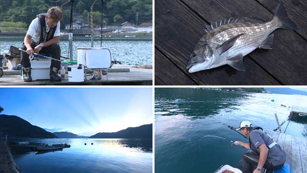 #357 チヌを導く方程式!三重県賀田湾の筏釣り