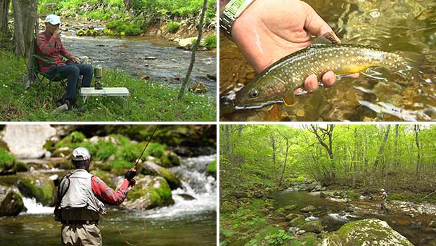 #392 大自然の中で美しい渓魚と戯れる!名手が魅せる岩手県のフライフィッシング