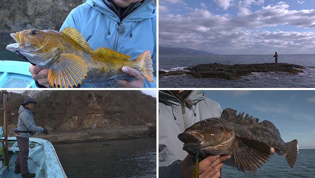 #416 北の大地の好敵手に挑む!北海道のロックフィッシュゲーム