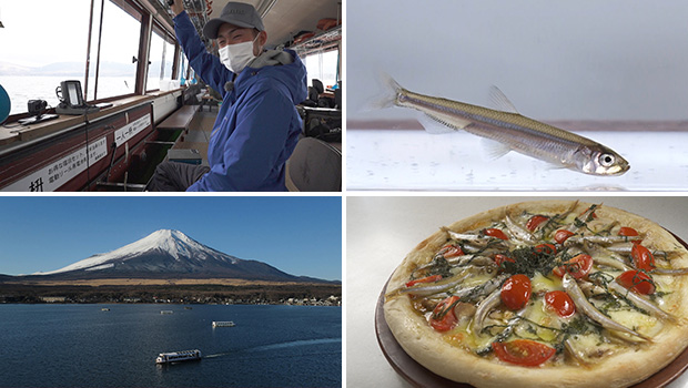#468 繊細なアタリに酔いしれる 山梨県山中湖でワカサギ釣り!