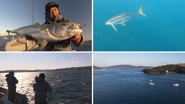 #471 良型ブリが乱舞!三重県鳥羽沖のジギング