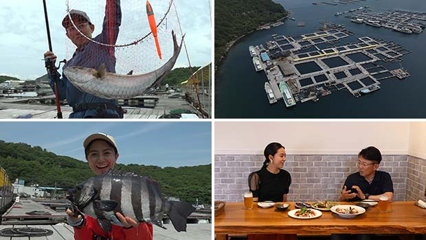 #496 高級魚乱舞!名手も夢中になる 兵庫県姫路市の海上釣堀