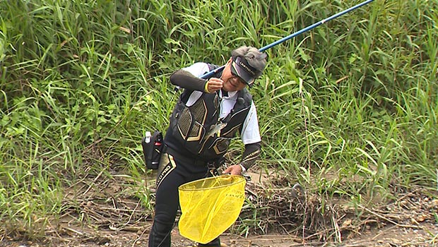 #501 美しき天然遡上鮎に歓喜!北海道厚沢部川の友釣り
